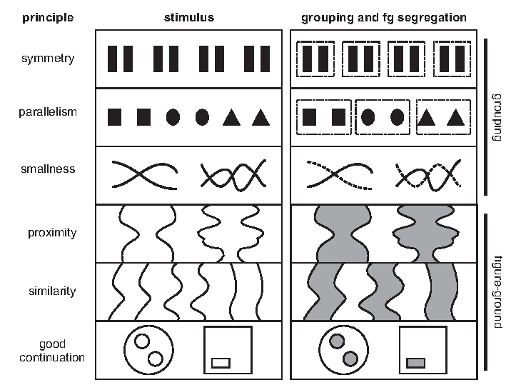 visual perception examples