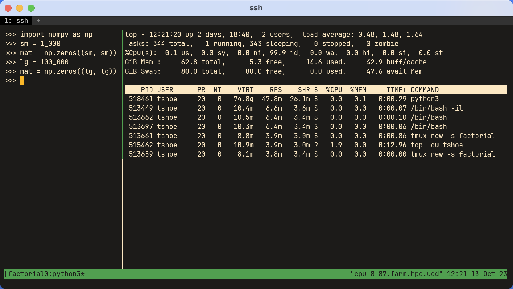 A two-pane  window with Python and  showing a largematrix