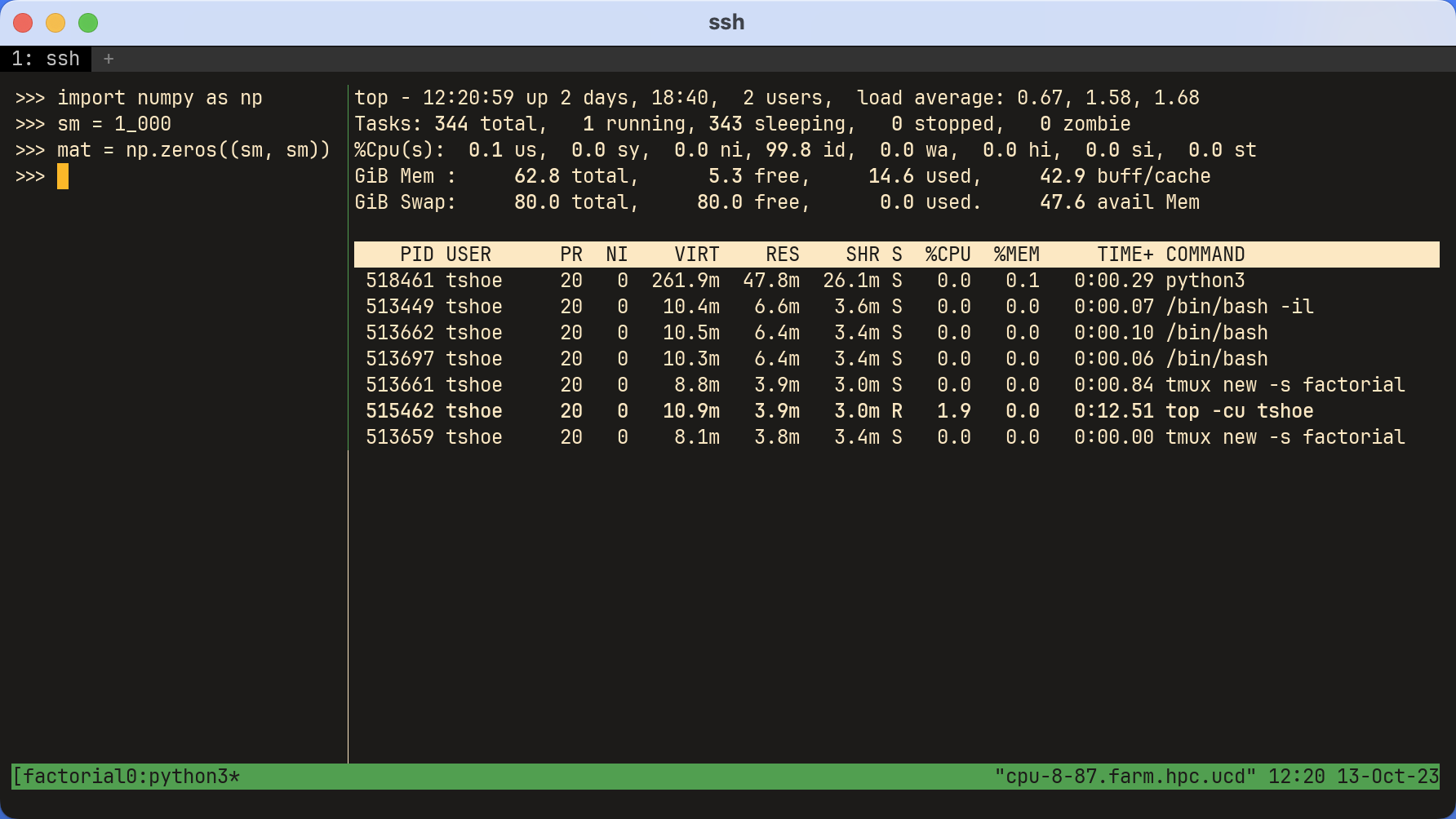 A two-pane  window with Python and  showing a smallmatrix