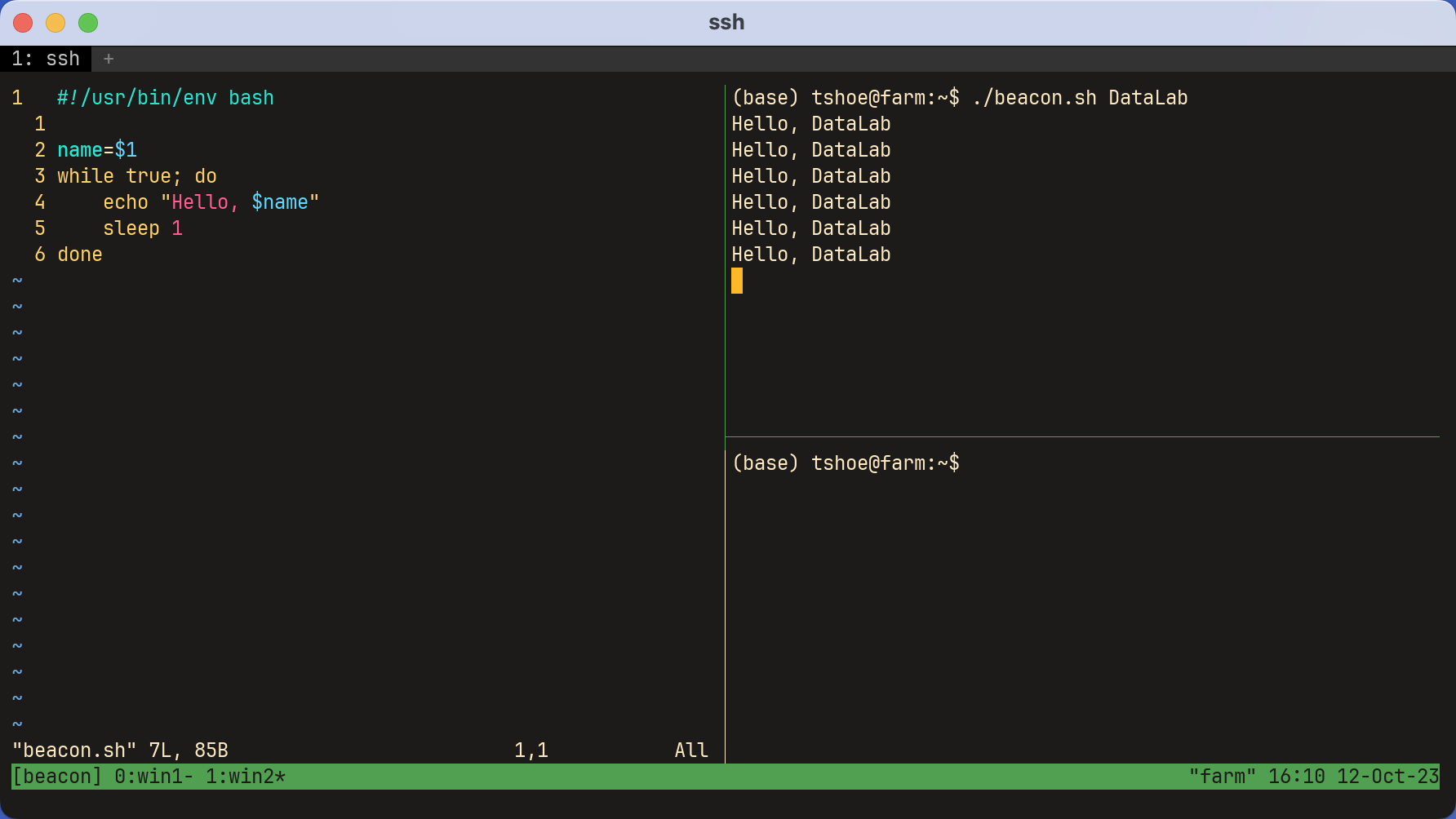 A  window with three panes running multipleprograms