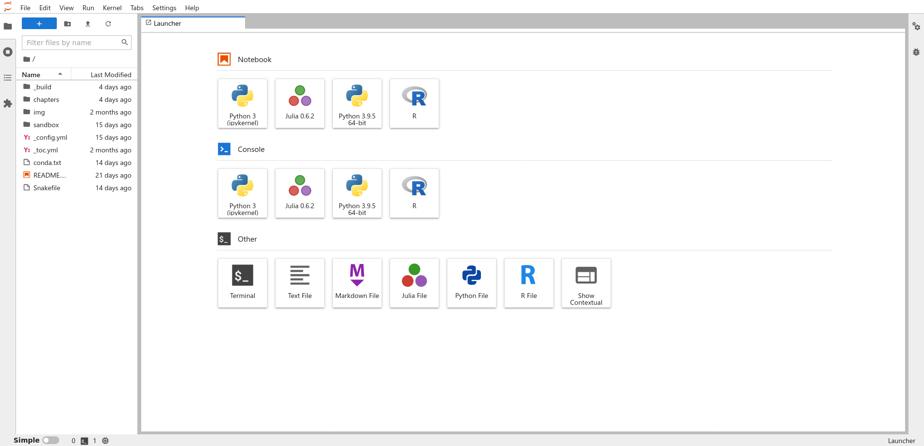 The JupyterLab startup screen.